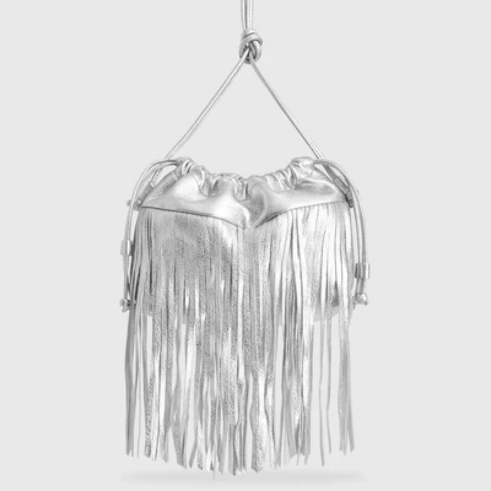 Silver Fringe Purse